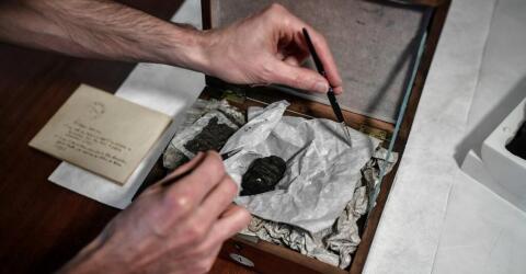 Image : les restes d'un papyrus d'Herculanum / 2019 / STEPHANE DE SAKUTIN / AFP