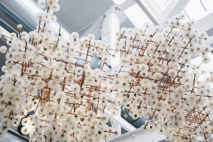 Duy Anh Nhan Duc © Jean-Louis Carli _ MAIF