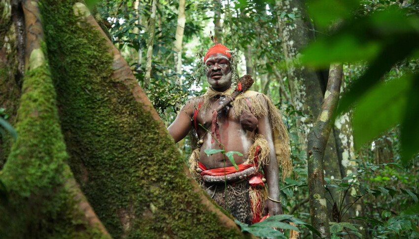 Le chef Mambongo / Gardiens de la forêt - Gabon - La forêt qui soigne