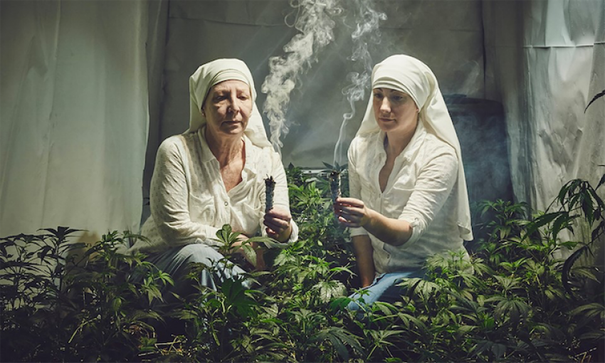 Connaissez-vous les nonnes du cannabis, ces bonnes sœurs qui prêchent pour la légalisation ?
