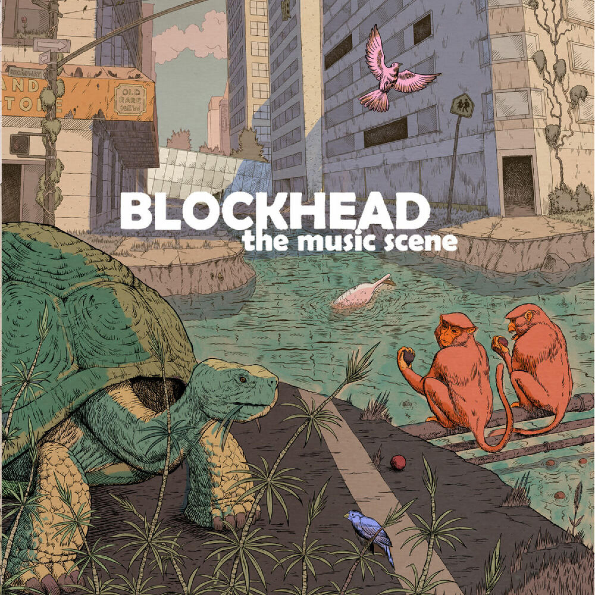 BLOCKHEAD IT S RAINING CLOUDS Radio Nova