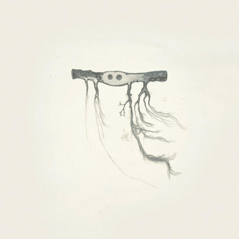 JOSE GONZALEZ