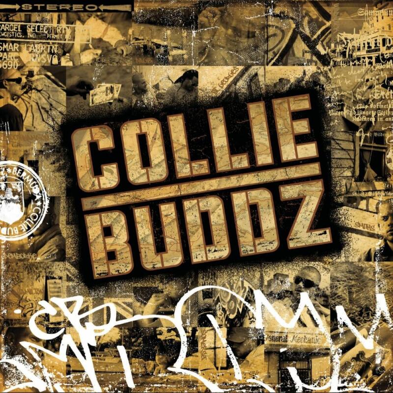 COLLIE BUDDZ
