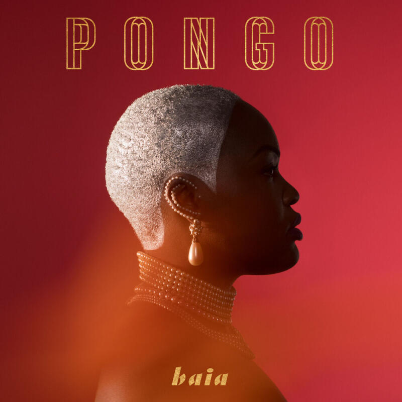 PONGO