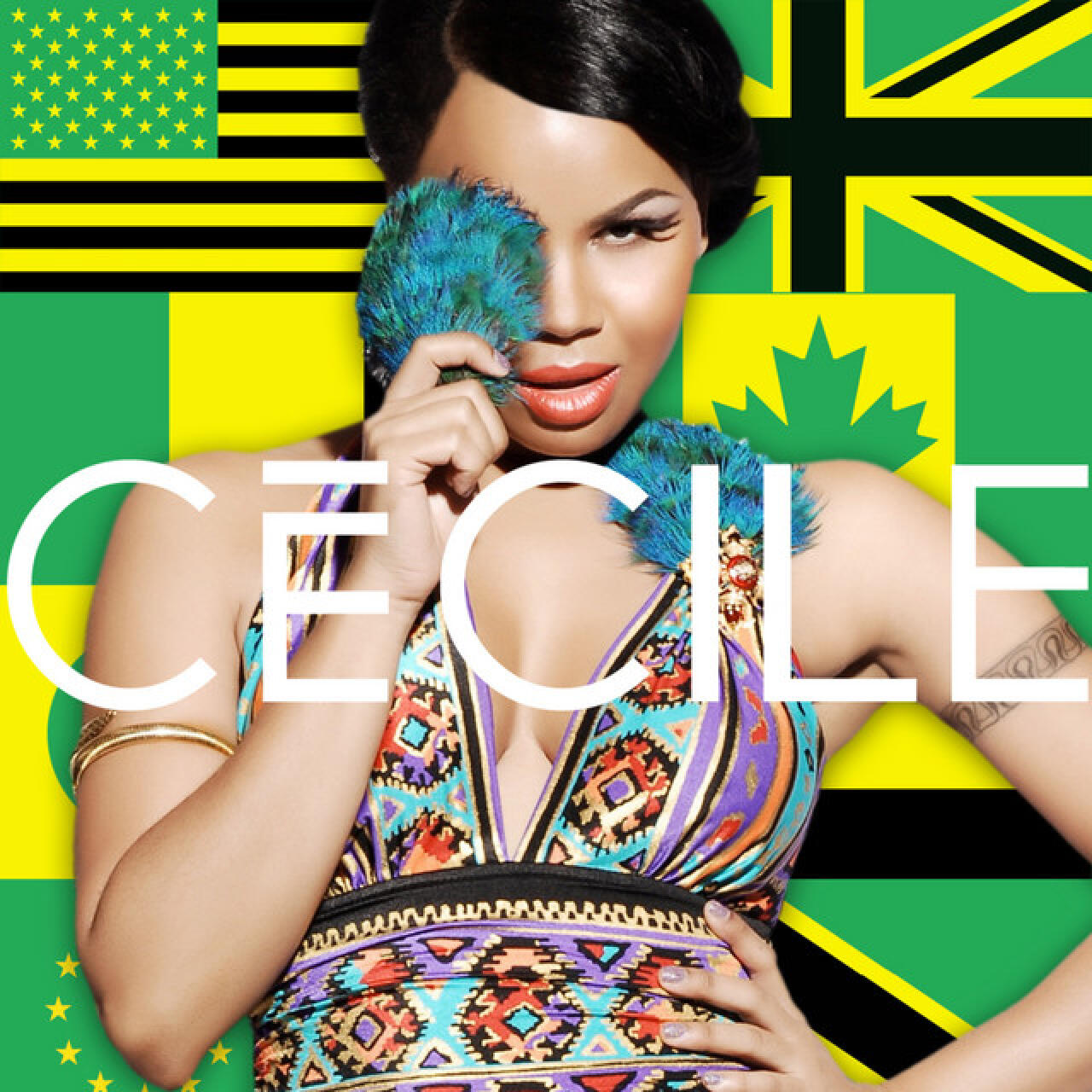 CECIL & MS DYNAMITE – THE APPLICATION