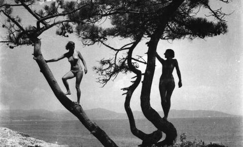 © Pierre Audebert, Ile du Levant, 1935, coll. Éliane Schoeffert-Audebert © Archives Pierre Audebert, mucem.org