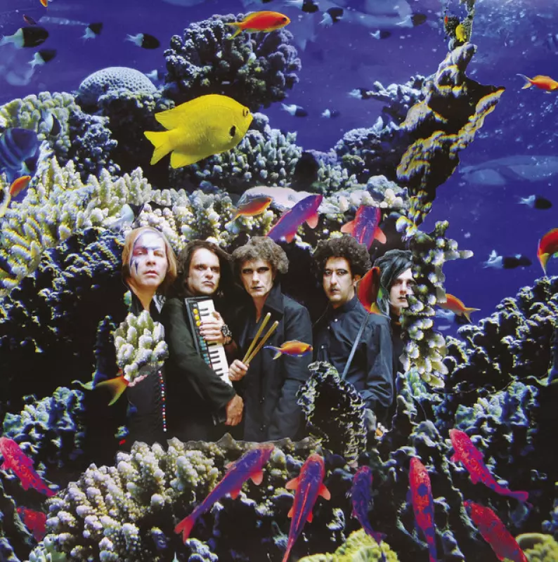 Philipe Katerine, Francis et ses peintres