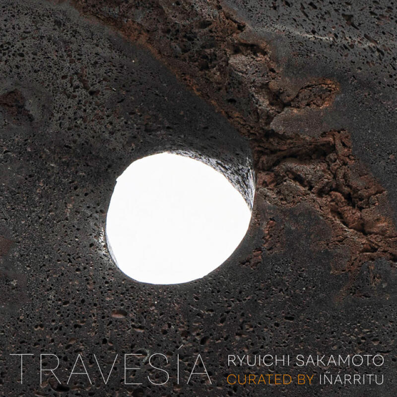 RYUCHI SAKAMOTO [+] YOUSSOU N'DOUR