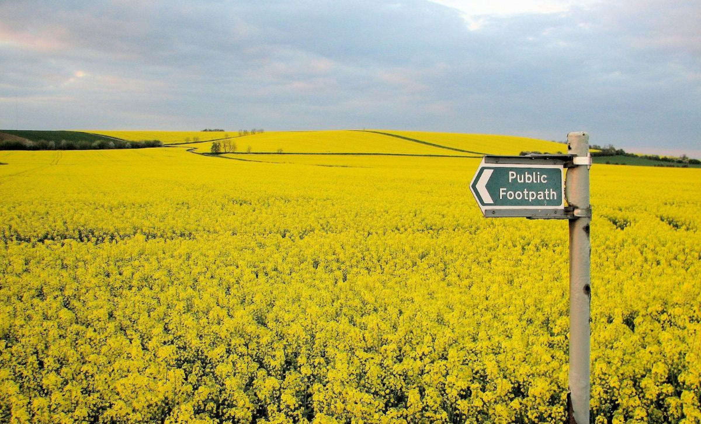 Écologie : notre maison brûle, regardons les anglais