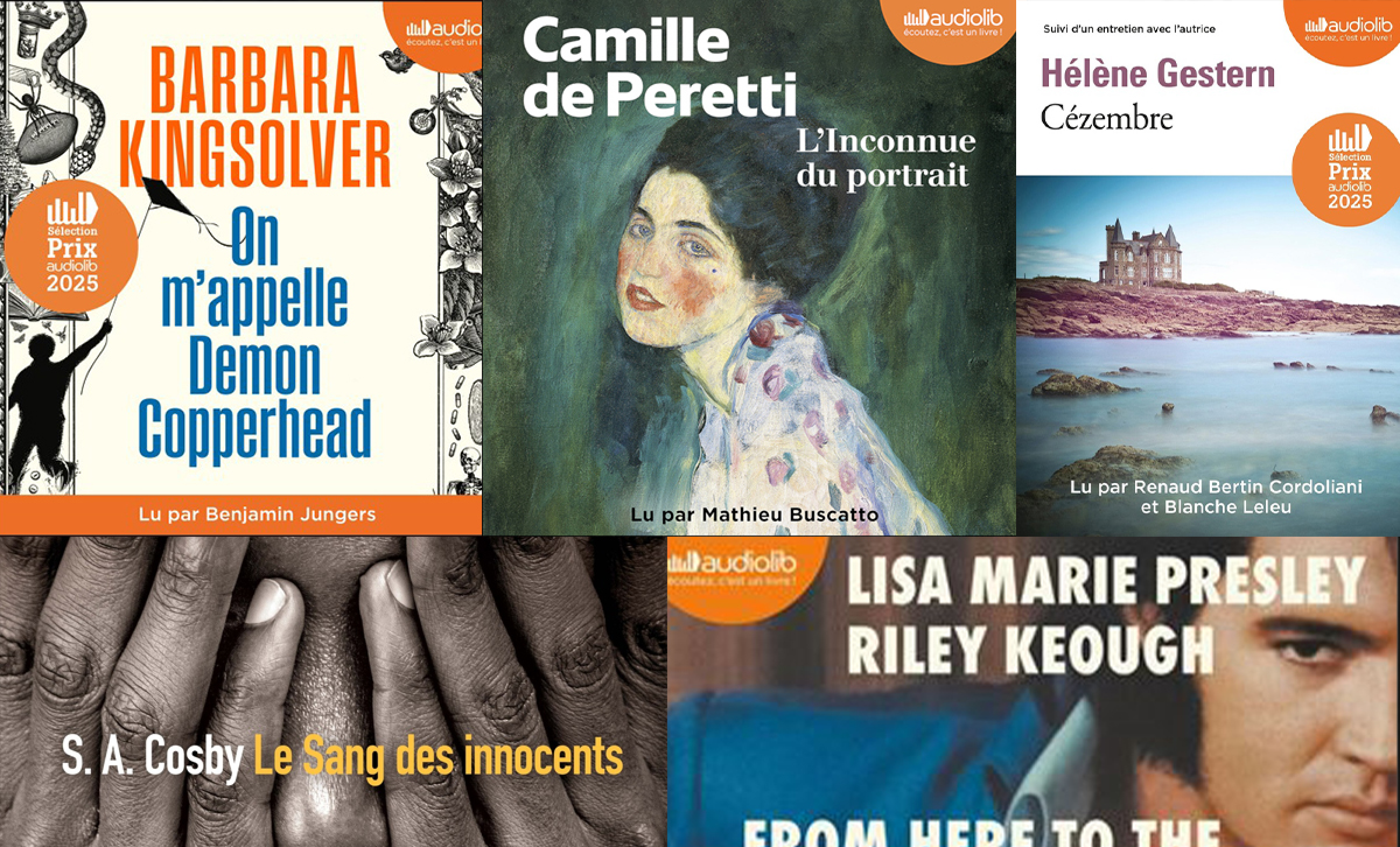 Votez pour le lauréat du prix Audiolib 2025 !