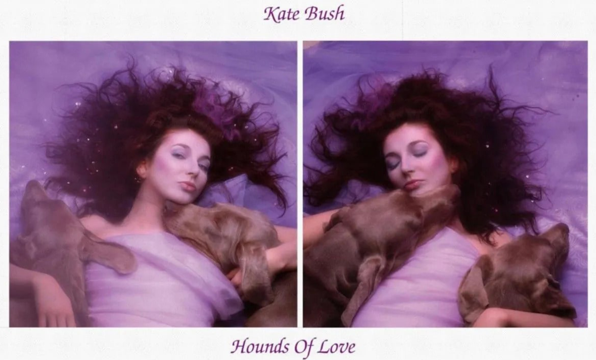 Tout simplement culte : “Hounds of Love”, le retour de Kate Bush au sommet