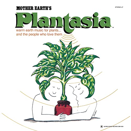 Plantasia de Mort Garson, l’album qui prend soin de vos plantes