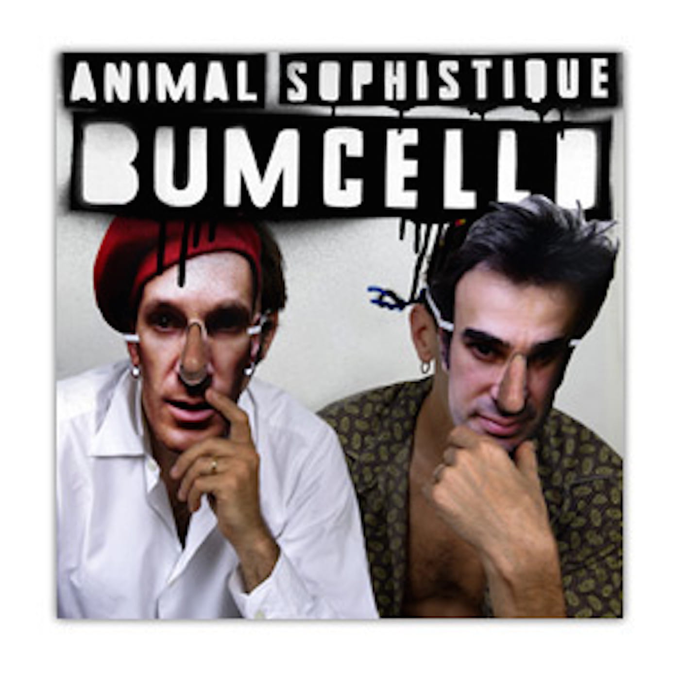 Un disque au hasard ? « Animal Sophistiqué » de Bumcello