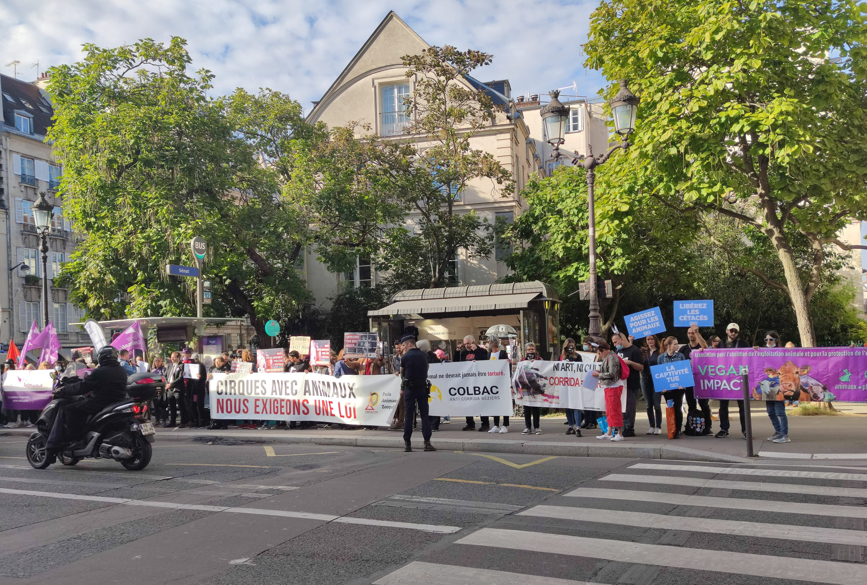 Coup de com’ pour les animaux