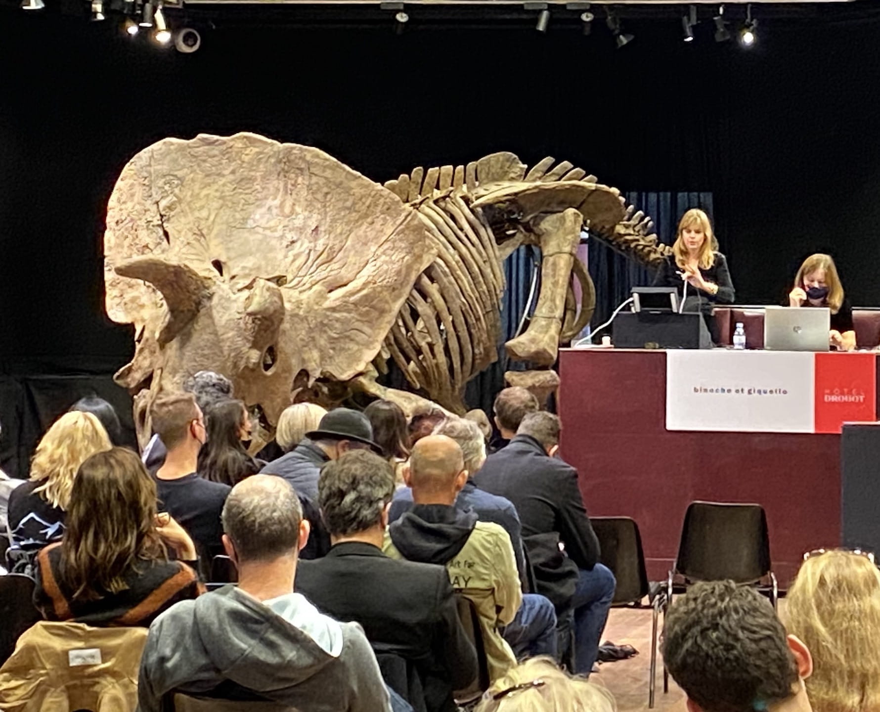 Les dessous de la vente de Big John, plus grand tricératops jamais trouvé