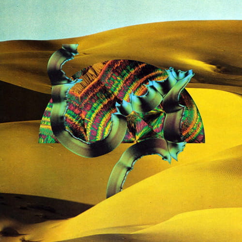 L’anniversaire du jour : le premier album de Django Django