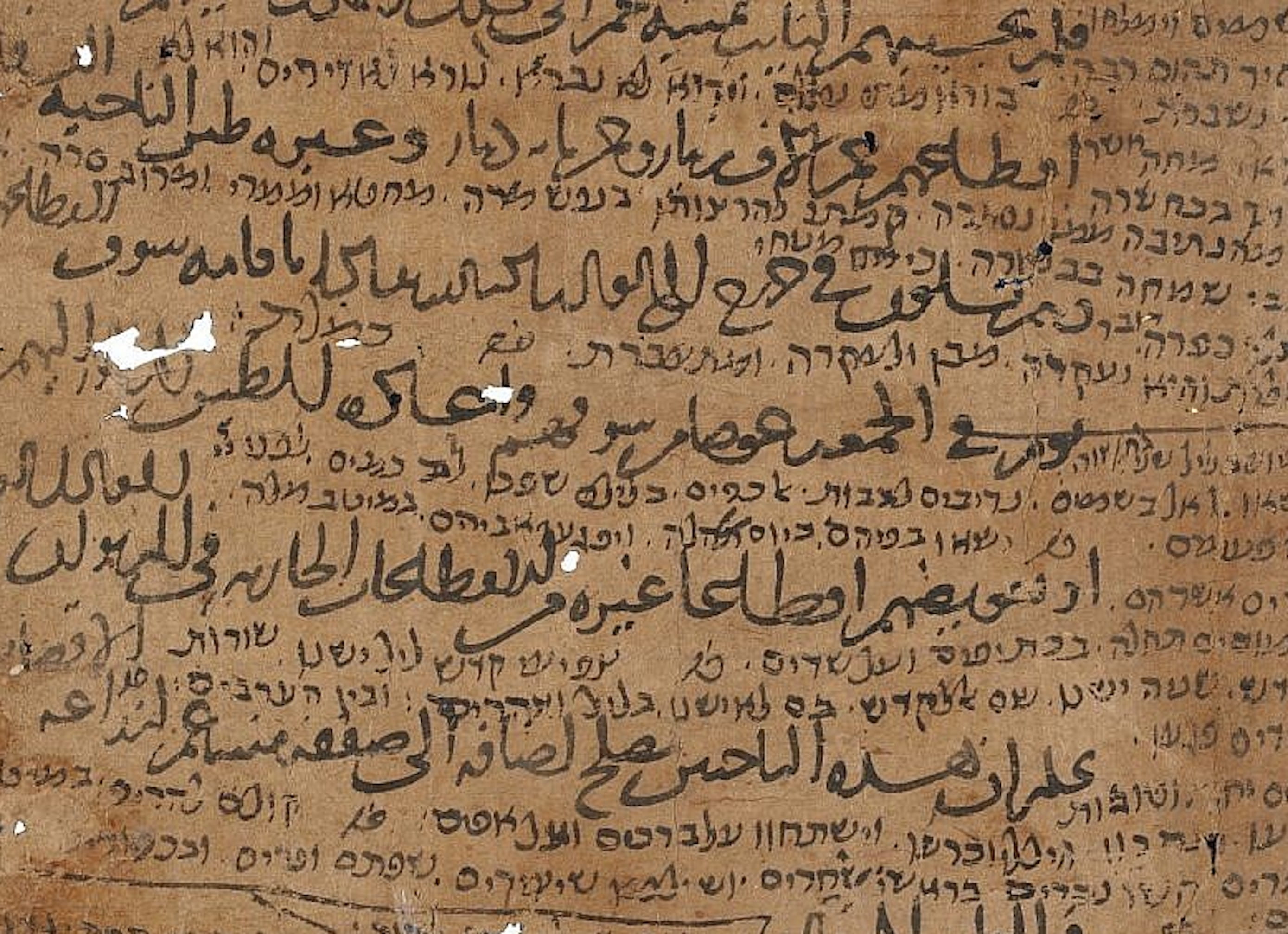 Rapprocher les gens par la langue