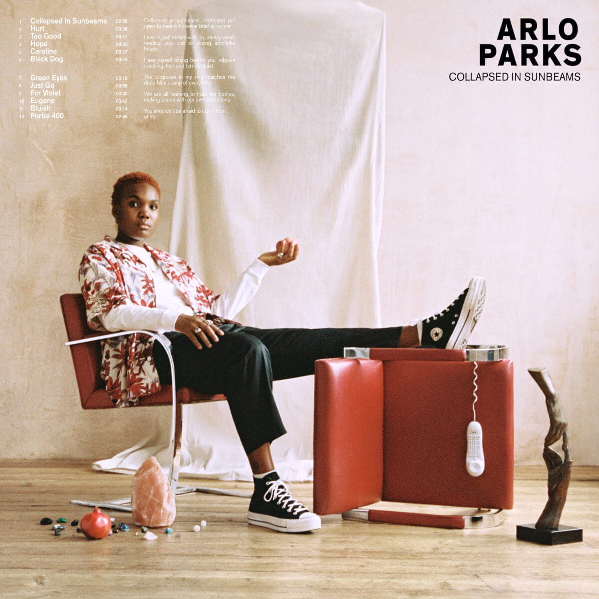 L’anniversaire du jour : “Collapsed in Sunbeams“ d’Arlo Parks