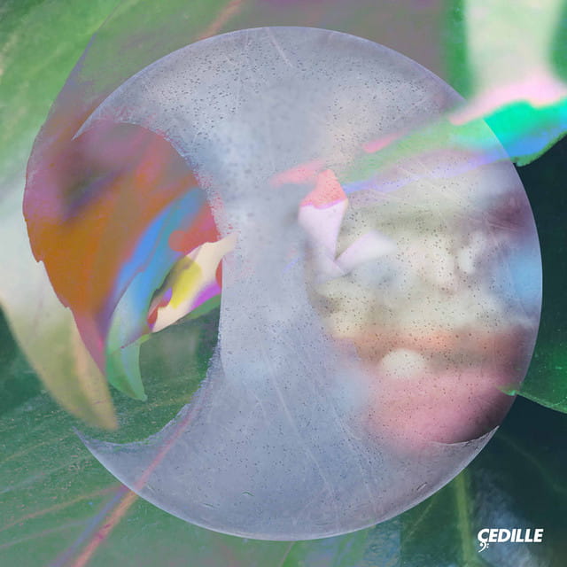 Les bizarreries d’Emmanuel Plane (ex Philippe Dumez) et Marvin Gaye