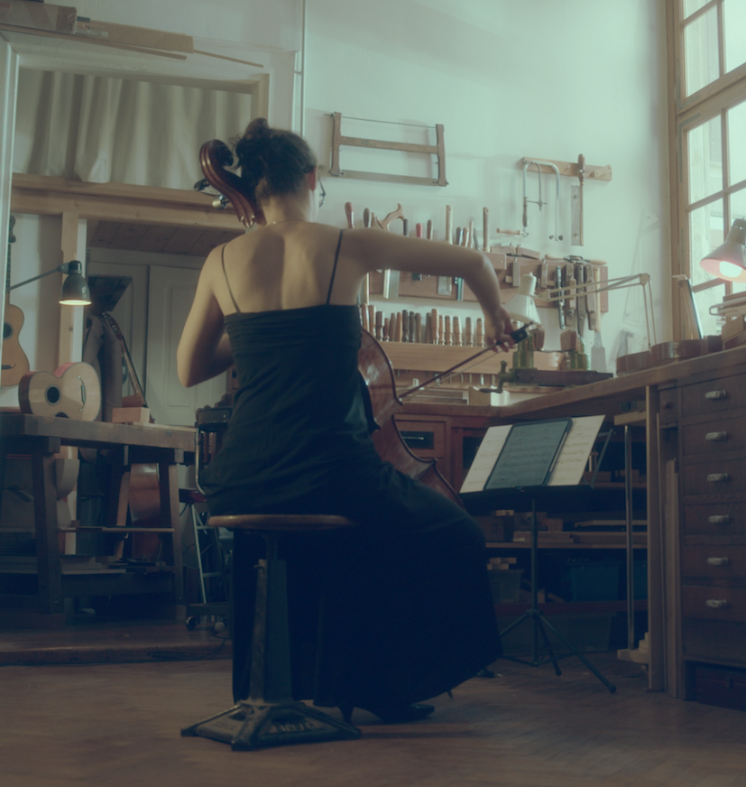 Un concert, un artiste… un spectateur