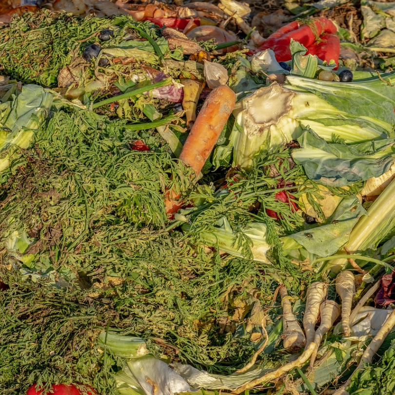 Un composteur intelligent pour limiter le gaspillage alimentaire et économiser du blé