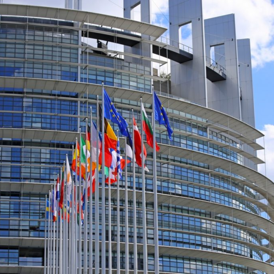 À Bruxelles, le destin de la nature actuellement en jeu